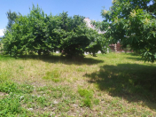 Satılır 14 sot torpaq Qəbələ