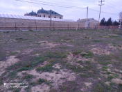 Satılır 60 sot torpaq Zirə