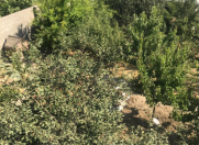 Satılır 6 otaqlı 340 m2 villa Görədil