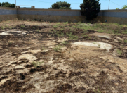 Satılır 12 sot torpaq Badamdar