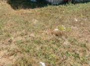 Satılır 7 otaqlı 2000 m2 yeni tikili Xaçmaz