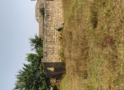 Satılır 16 sot torpaq Masallı