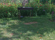 İcarəyə verilir 2 otaqlı 120 m2 həyət evi Qax