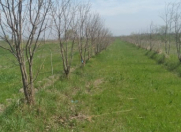 Satılır 150 sot torpaq Sumqayıt