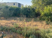 Satılır 6 sot torpaq Saray