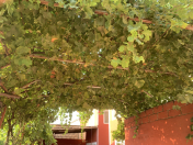 Satılır 4 otaqlı 350 m2 həyət evi Binəqədi