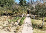 Satılır 24 sot torpaq Novxanı