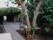 Satılır 3.5 sot torpaq Masazır