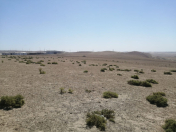 Satılır 5 sot torpaq Hökməli