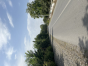 Satılır 25 sot torpaq Qəbələ