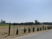 Satılır 80 sot torpaq Qala