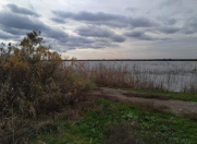 Satılır 27000 sot torpaq Göyçay