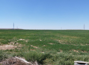 Satılır 400 sot torpaq Perekeşkül