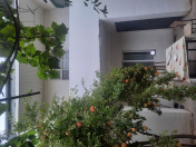 Satılır 6 otaqlı 200 m2 həyət evi 7 mkr