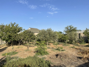 Satılır 10 sot torpaq Buzovna