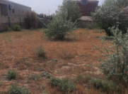 Satılır 6 sot torpaq Sumqayıt