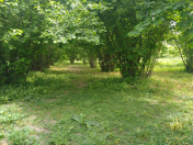 Satılır 12 sot torpaq Oğuz