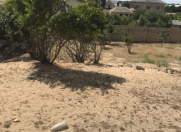 Satılır 12 sot torpaq Maştağa