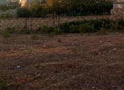 Satılır 3 sot torpaq Qala