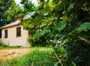 İcarəyə verilir 3 otaqlı 80 m2 həyət evi Oğuz