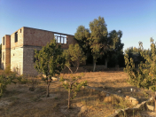 Satılır 10 otaqlı 450 m2 bağ evi Novxanı