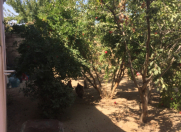 Satılır 4 otaqlı 90 m2 həyət evi Görədil