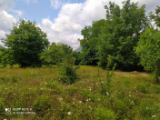 Satılır 1 sot torpaq Qəbələ