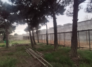 Satılır 40 sot torpaq Binə