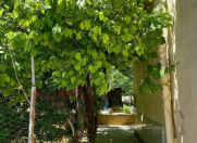 Satılır 3 otaqlı 118 m2 köhnə tikili 7 mkr