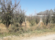 Satılır 12 sot torpaq Quba