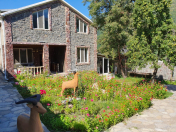 Satılır 4 otaqlı 160 m2 bağ evi Qax