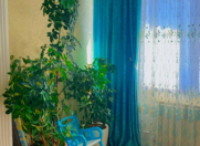 Satılır 3 otaqlı 65 m2 köhnə tikili Biləcəri