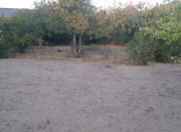 Satılır 30 sot torpaq Savalan