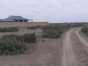 Satılır 6 sot torpaq Neftçala