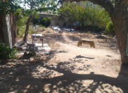 Satılır 3 otaqlı 0 m2 həyət evi Sumqayıt