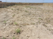 İcarəyə verilir 14 sot torpaq Şüvəlan