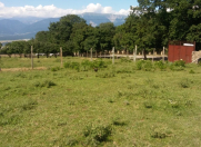 Satılır 15 sot torpaq İsmayıllı