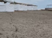 Satılır 21 sot torpaq Astara