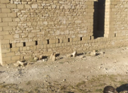 Satılır 3 otaqlı 6 m2 həyət evi Şəmkir