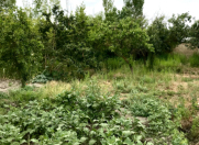 Satılır 6 otaqlı 10000 m2 həyət evi Sabirabad