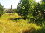 Satılır 12 sot torpaq Quba