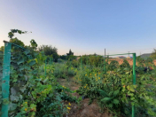 Satılır 4 sot torpaq Bilgəh