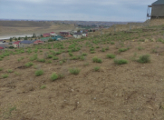 Satılır 10 sot torpaq Fatmayı