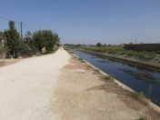 Satılır 14 sot torpaq Məhəmmədli