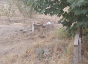 Satılır 16 sot torpaq Badamdar