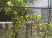 Satılır 8 otaqlı 196 m2 həyət evi Qaraçuxur