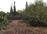 Satılır 30 sot torpaq 6 mkr