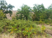 Satılır 200 sot torpaq Quba