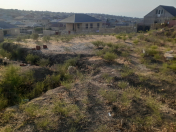 Satılır 4 sot torpaq Çiçək