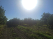 Satılır 200 sot torpaq Quba